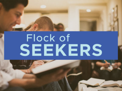 Flock of Seekers