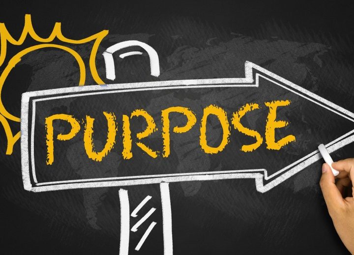 PURPOSE AND MEANING